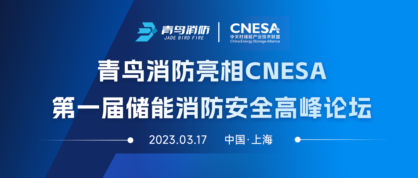 pgվ齫CNESAһ촢徲̳