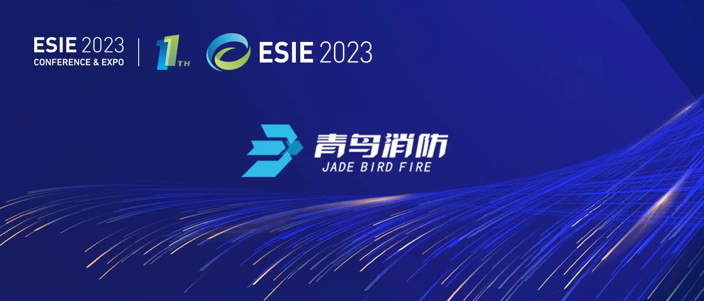 pgվ齫ESIE2023ܹʷ