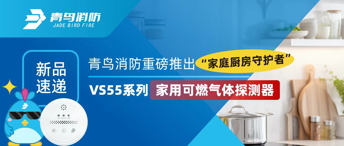 Ʒٵ | pgվ齫ذƳ“ͥػ”——VS55ϵмÿȼ̽